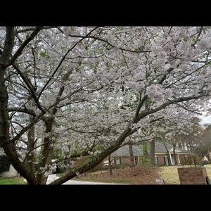 Meet your Posher, Kathlyn